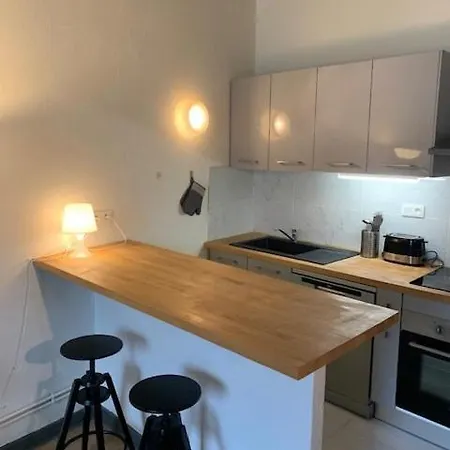 Apartman Calme & Proche Centre - Immeuble Bearnais Typique *