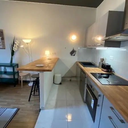 Apartman Calme & Proche Centre - Immeuble Bearnais Typique